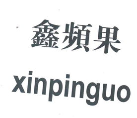福建南安市丰州九龙宝制衣厂