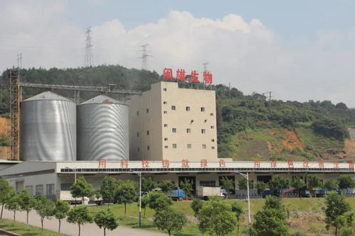 闽雄生物 猪企网 福建省数字创新驱动管理的领跑者