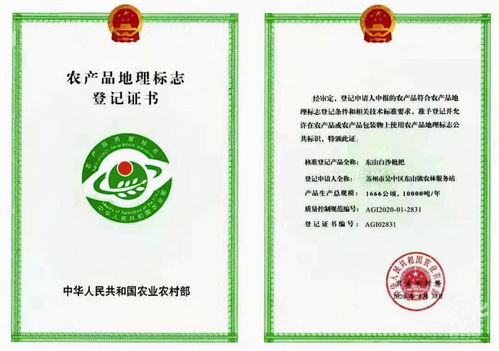 苏州 白玉枇杷 属于谁 最新进展来了......